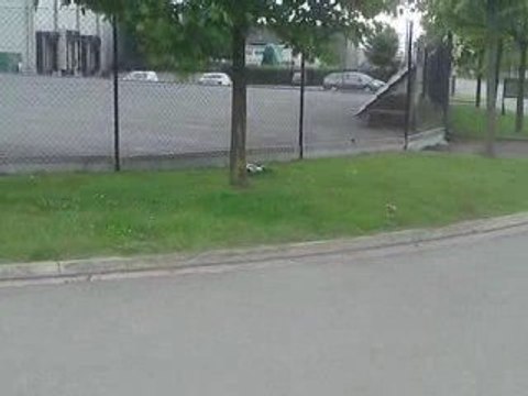 voiture thermique reely 1/8e conrad