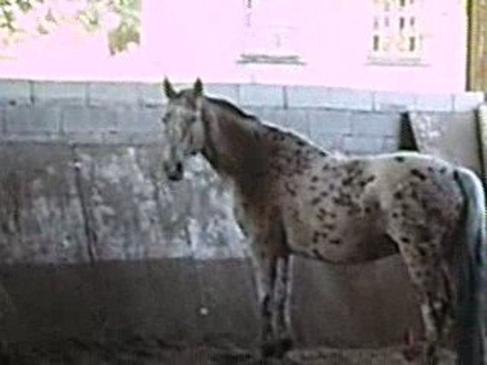 P8270003