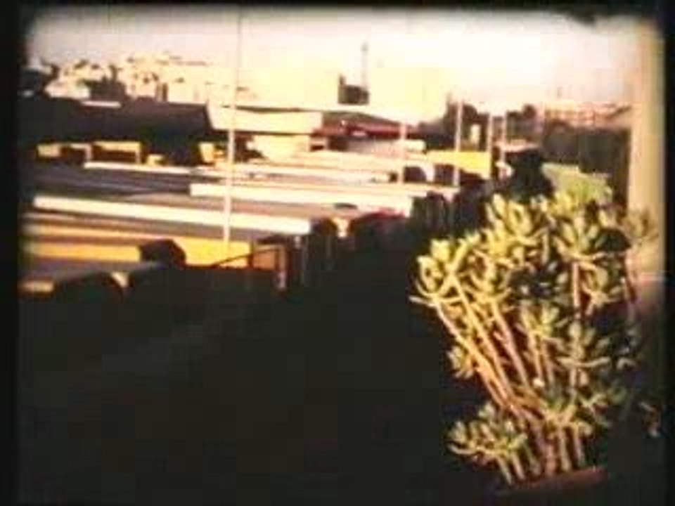 L ANNEE DES TREIZE LUNES JOURNAL SUPER8 2000