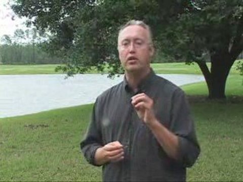 Festival and Events Florida 2109