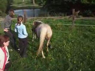 Very Pretty Kool, 4 jours