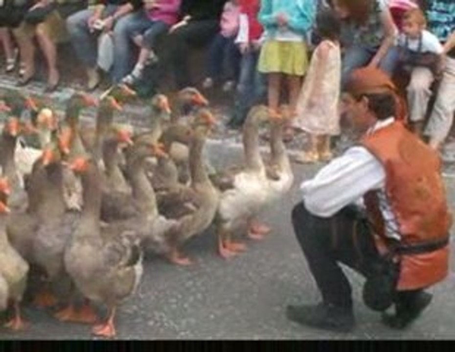 Somain-carnaval 2009-Pépiloue et ses 50 oies