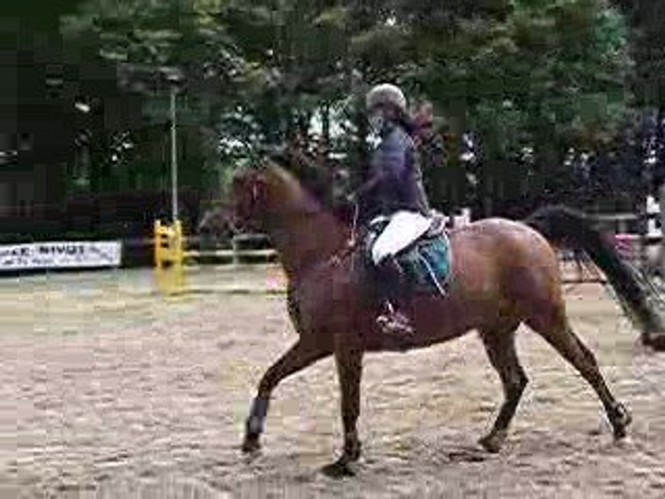 Braspart 21-05-09 nozgwenn 1