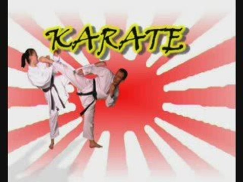 David Maescalck professeur Ecole de Budo Wavre démo & combat