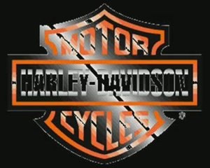 Dark hill customs 2009 harley davidson