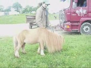 Super journée inoubliable