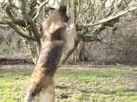 Partie de cache-tampons N°2