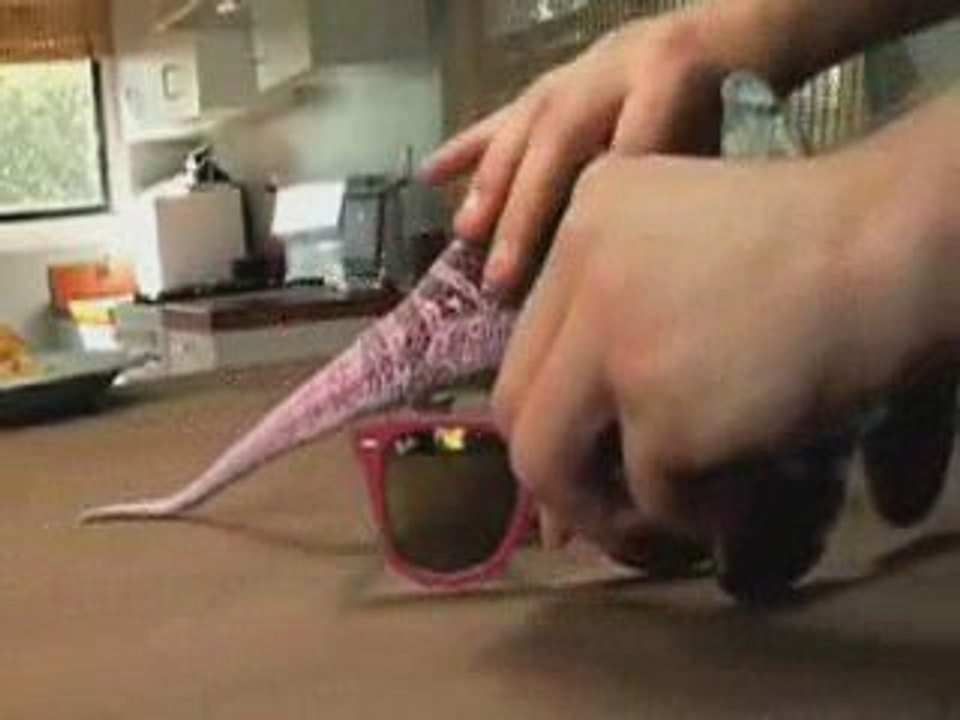 Chameleon