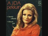 Ajda Pekkan - Sensiz Yıllarda