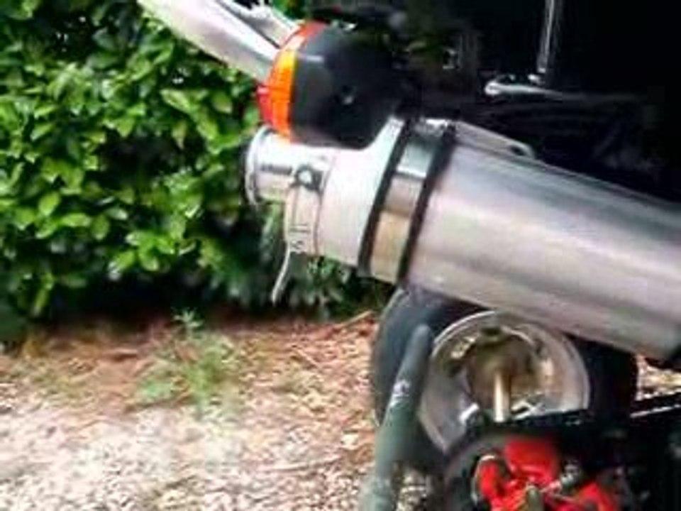 quad stixe