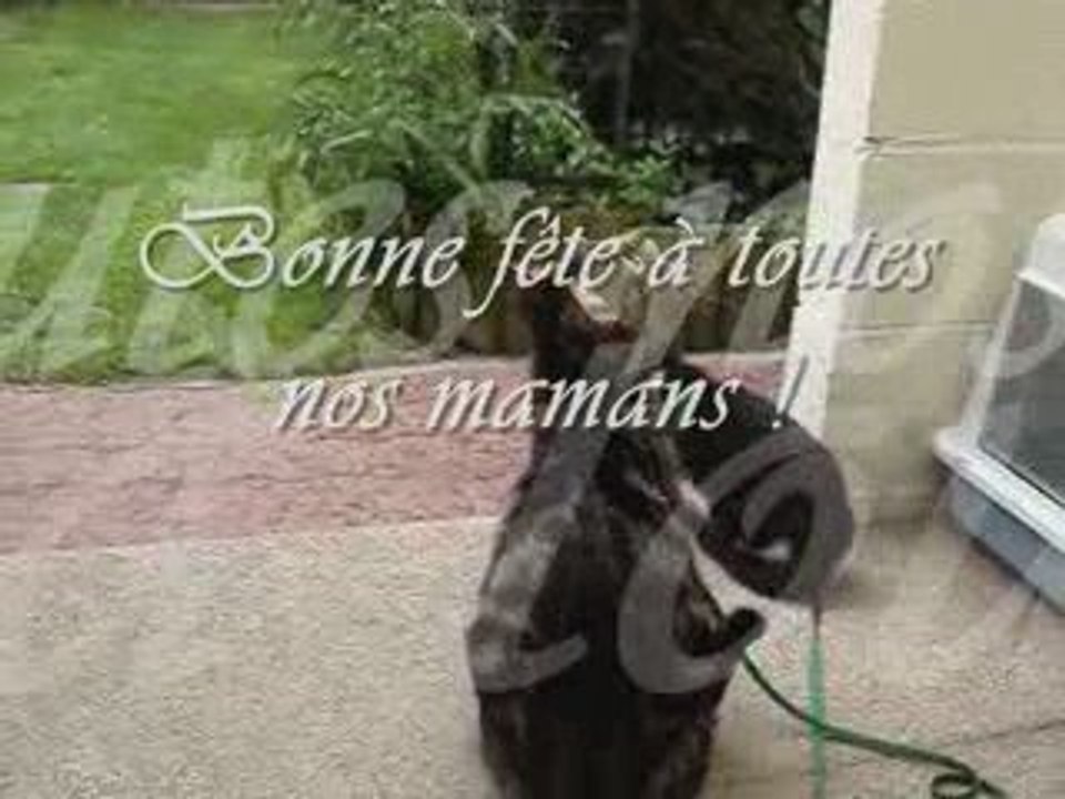 Bonne_fete_maman
