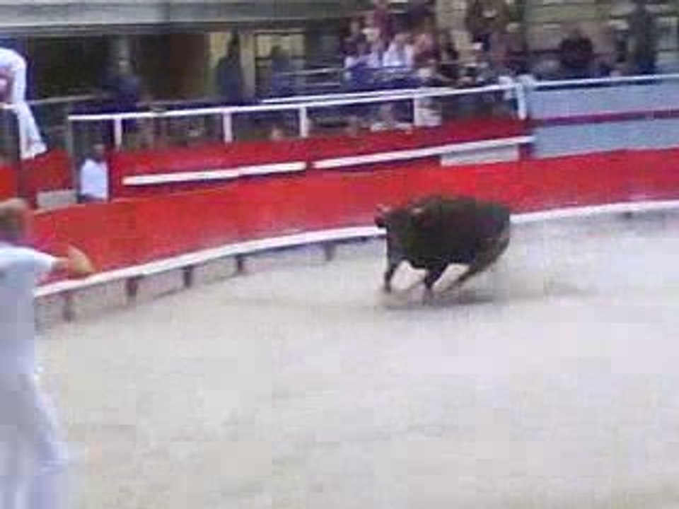 Course du06.06.09 "étalons neuf"