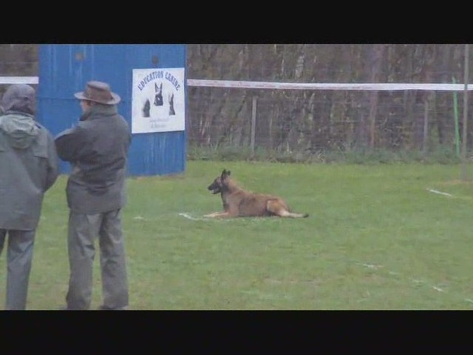 Urfa du Jardin du Malezy.2 partie