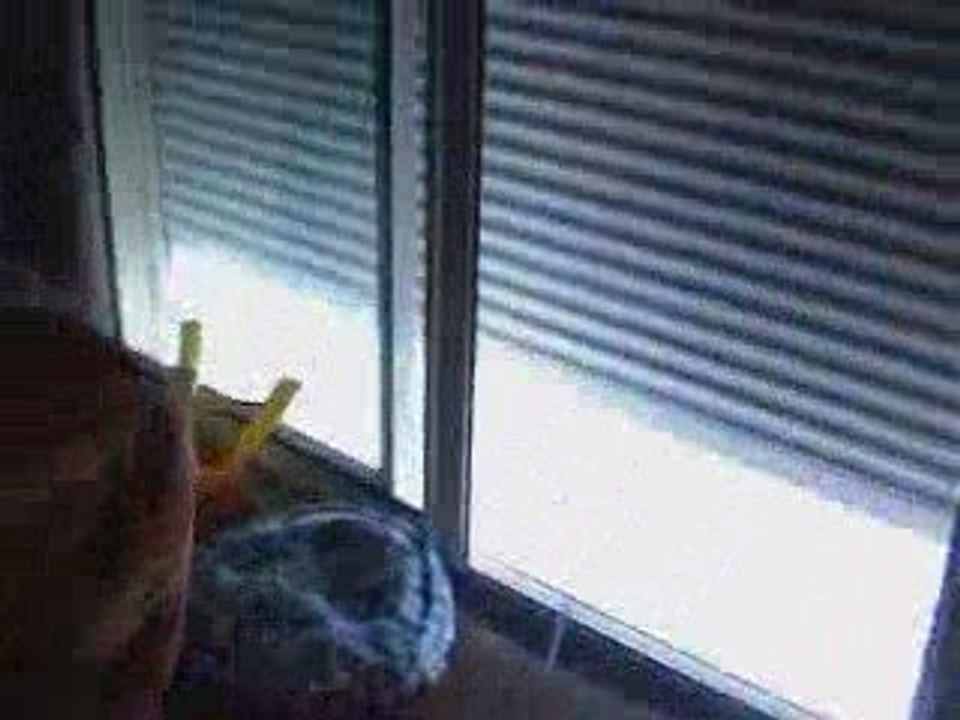 quad cubical à vendre