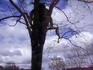 Agen* Lucas fait le singe :)