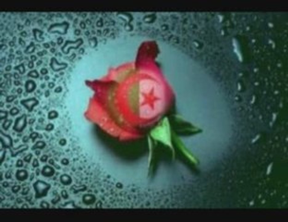 100% chaoui/ gasba sedik et djamila