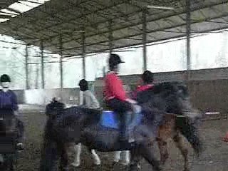 cacahuette tu me manques