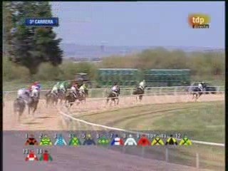 2009 (116) Premio CONSTRUCCIONES HNOS CARRAJO (SLIPLOGE)