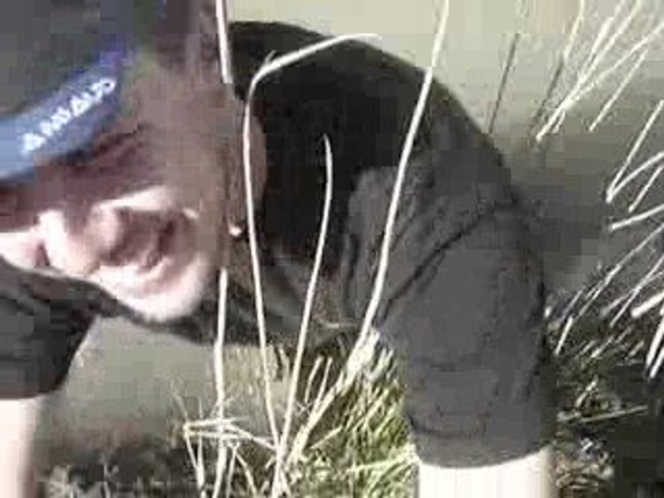 Régis saute un ruisseau...