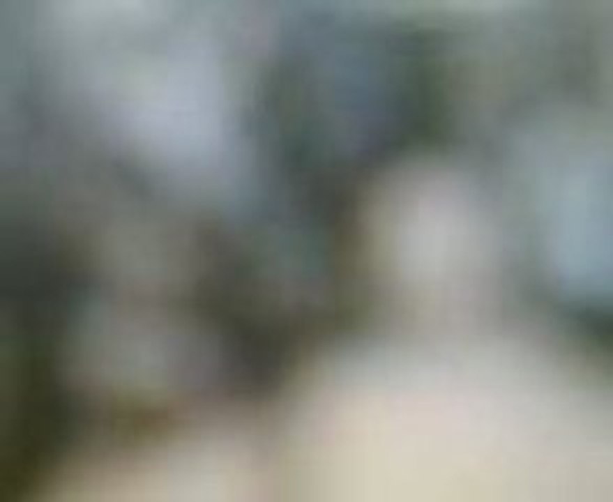 VID004