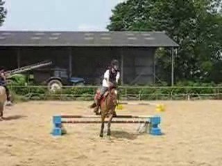 Parcours d'obstacle, Cerise et moi