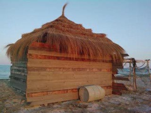 Cabanes et flores de Tunisie