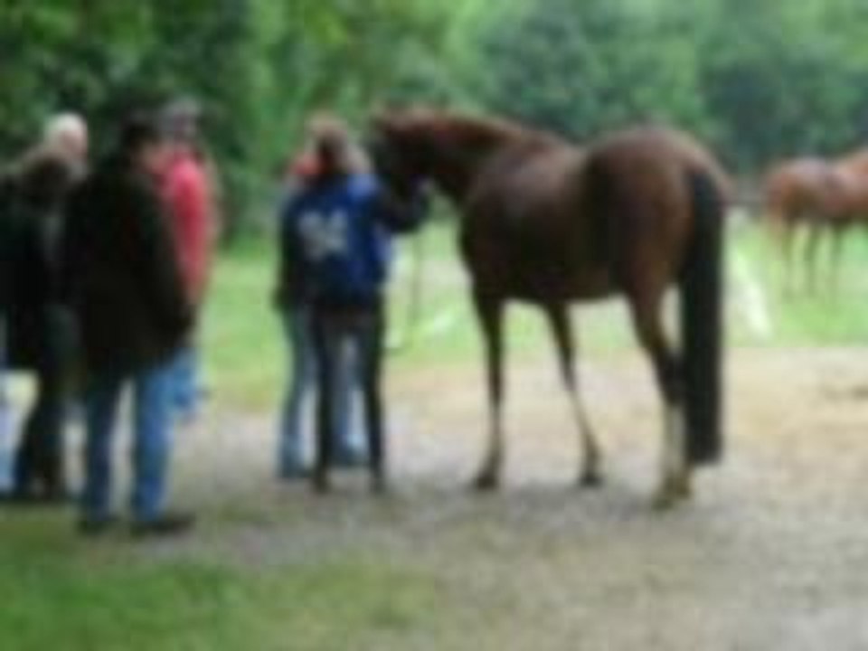 soulaines 2009 endurance Radja....