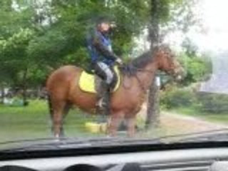 soulaines 2009 endurance Radja.......