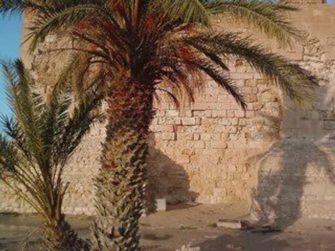 Premiére partie grand sud tunisie