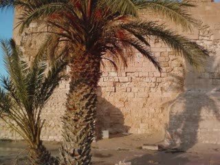 Premiére partie grand sud tunisie