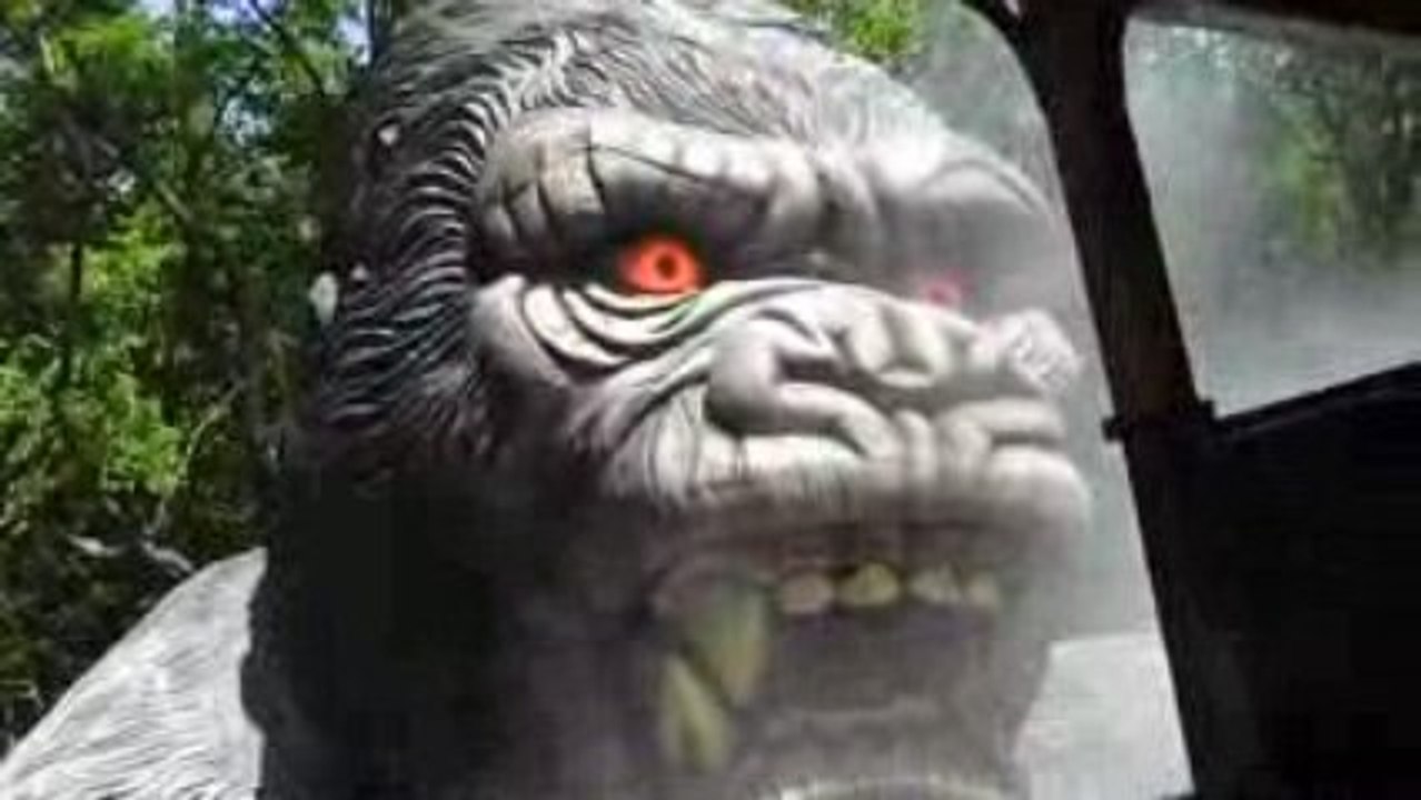 king kong au parc le pal vue de l interieure