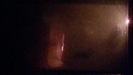 MICROWAVING A WATERPROOF SPEAKER