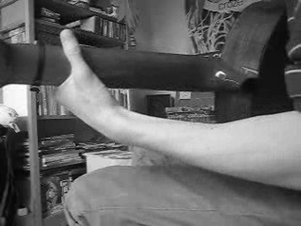 Wonderwall cover by Log&Sin