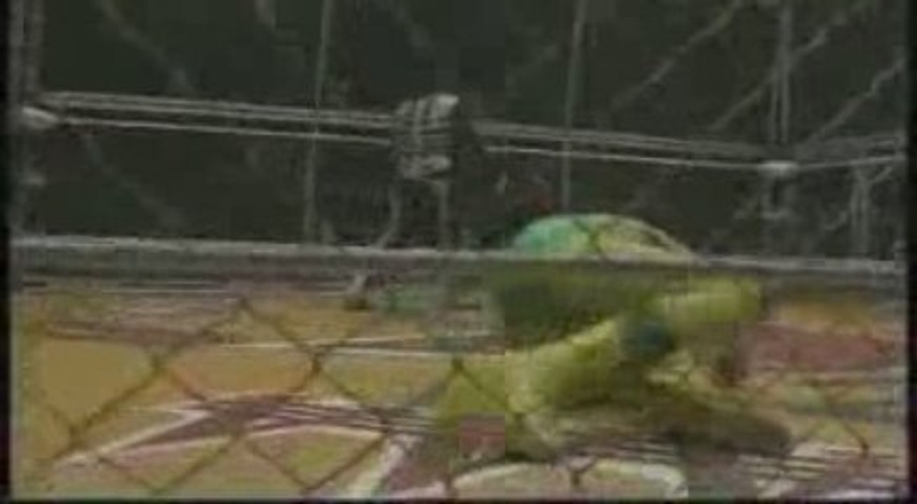 Fishman Vs La Parka =p1=