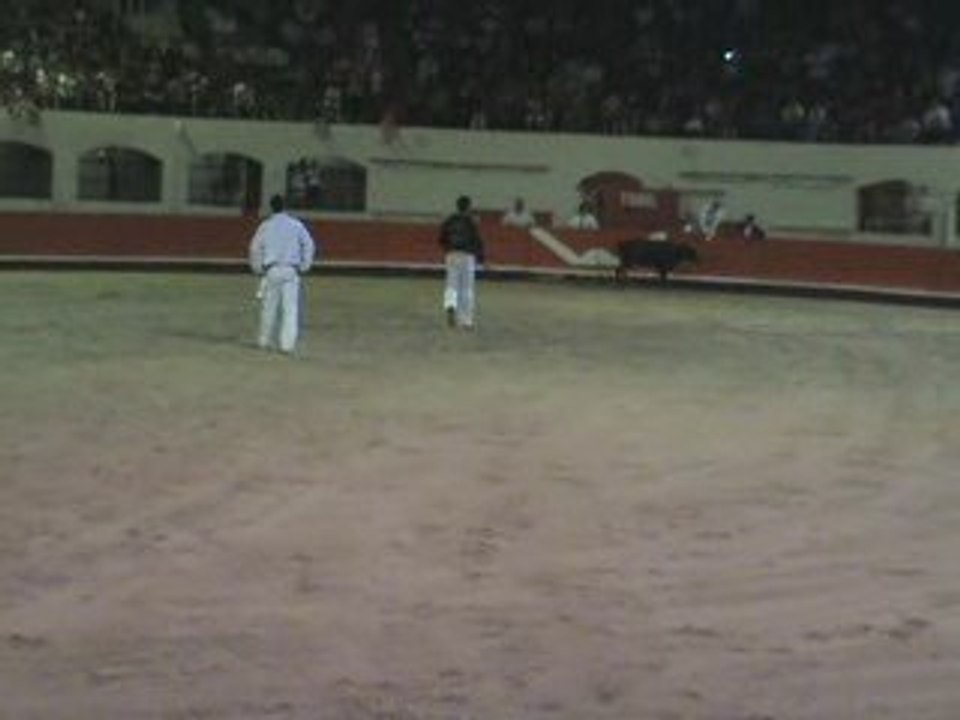 Landes2