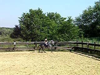 galop marie
