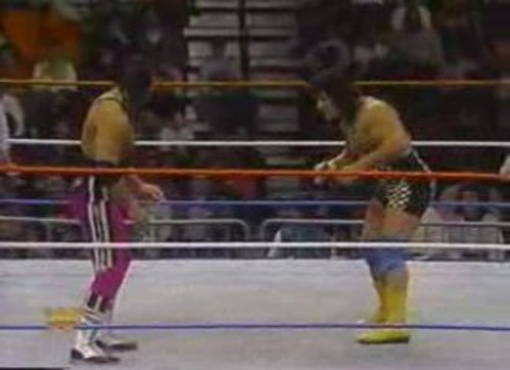 Owen & Bret Hart vs. Scott & Rick Steiner, WWE, 1994, Part 1