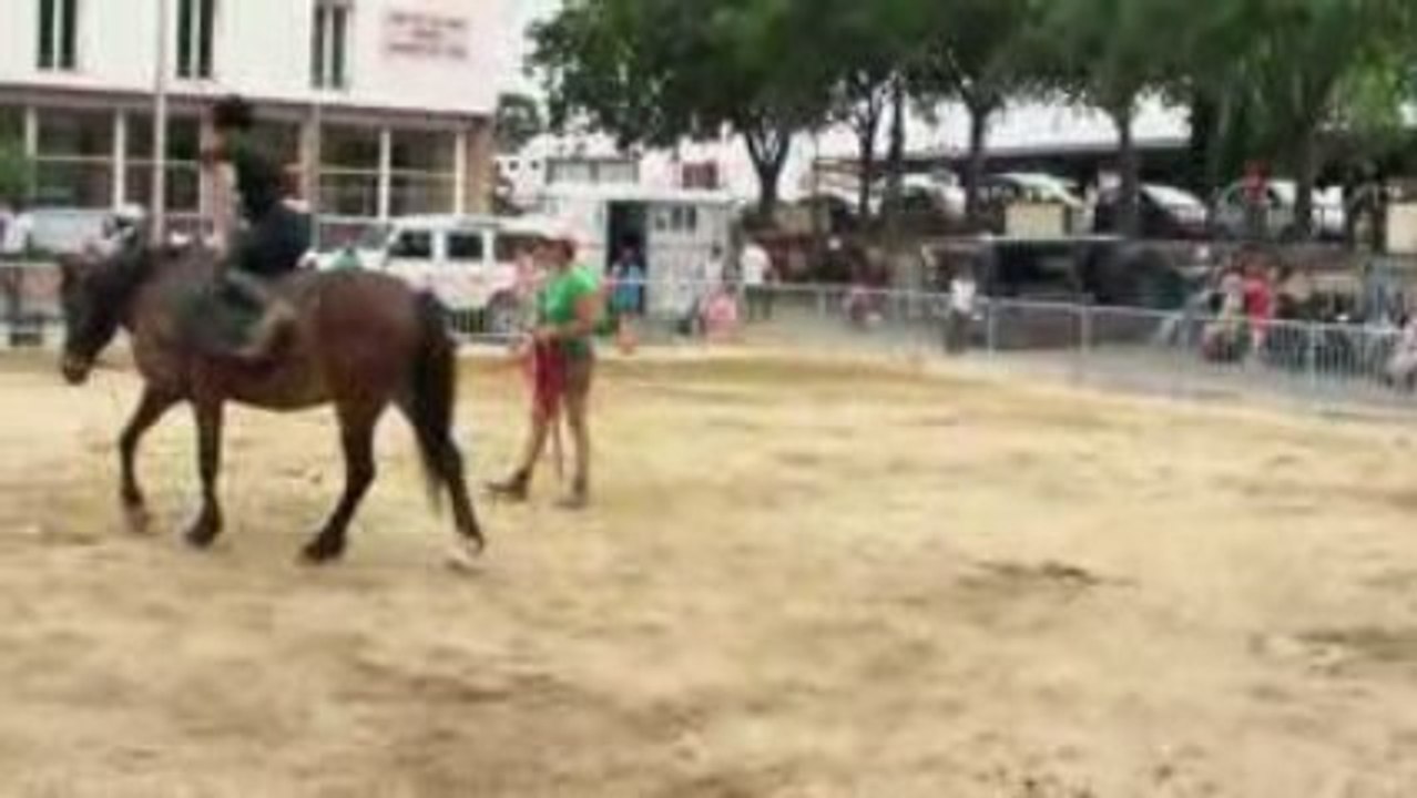 Manegefille