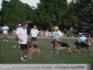 Machos selecionados