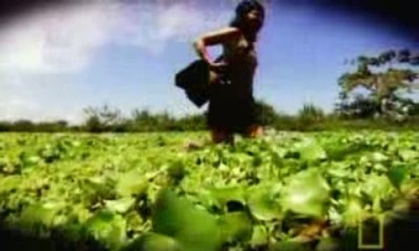 Super Snakes - Anacondas & Pythons 1 5