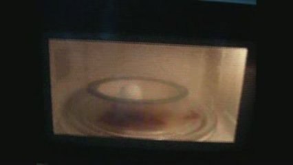 From The Vualt Lets Microwave This The First Jawbreaker