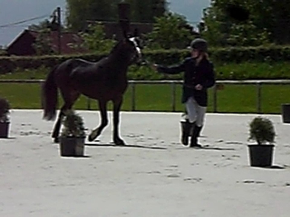 Silex du Bocage. PFS