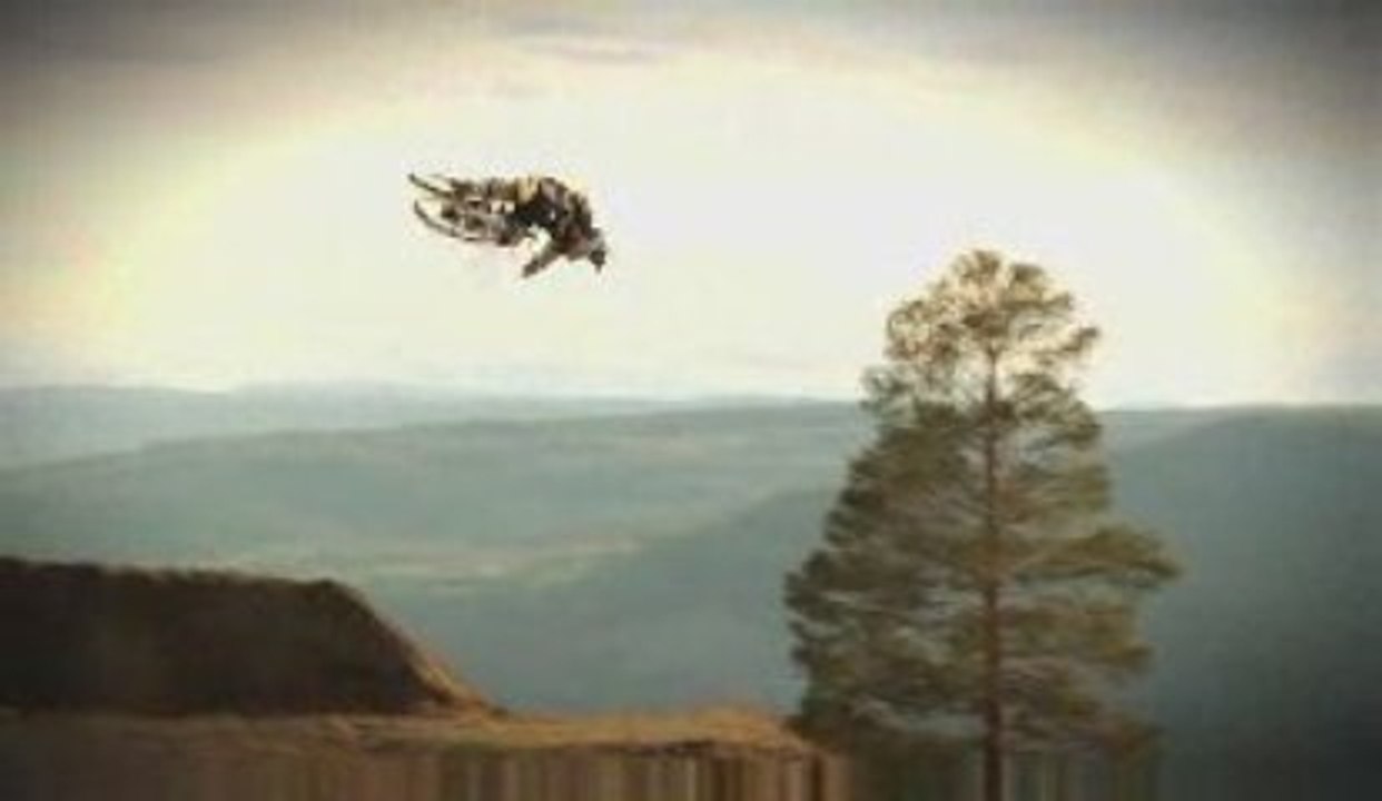 pure freeride