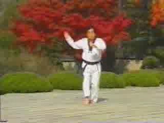 Taegueug pal jang