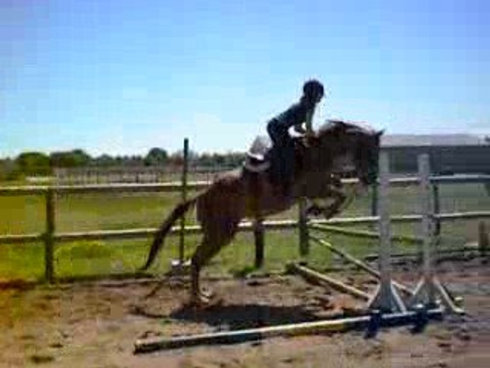 El tino & AL : Cso