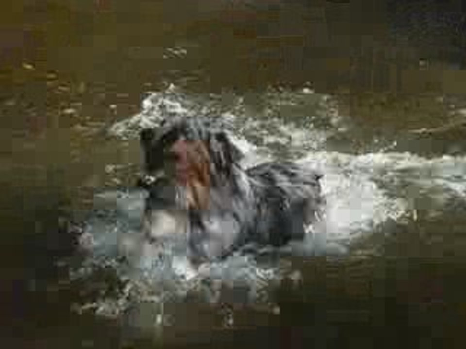 Cowboy & la rivière