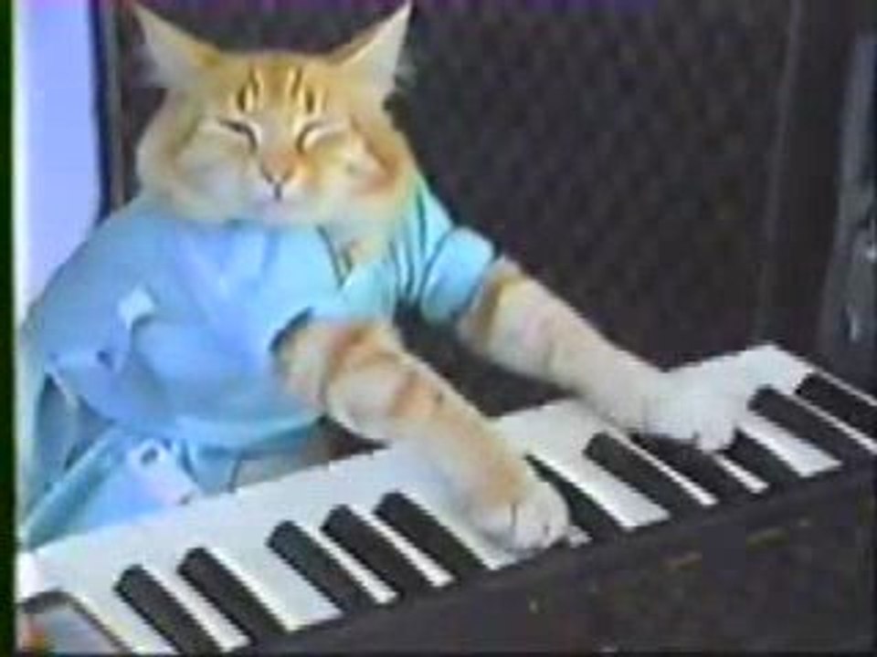 Fatso le roi du clavier
