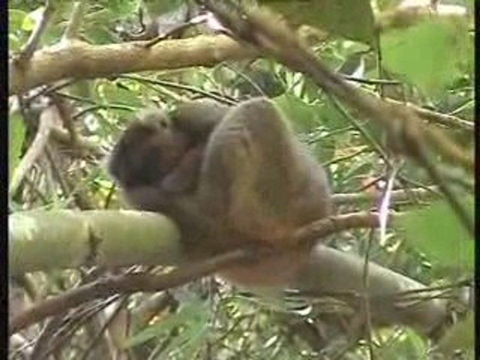 Madagascar à moto