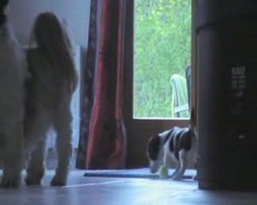Eliot&ses amis
