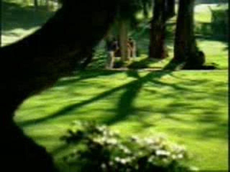 Funny videos - Golf balled